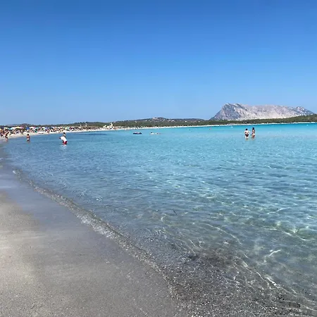 Villino Nuovo Con Giardino A 450m Dalla Di Tatil Evi *