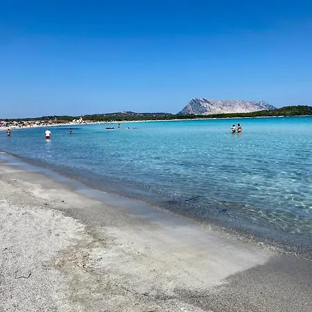 Villino Nuovo Con Giardino A 450m Dalla Di Porto Ottiolu